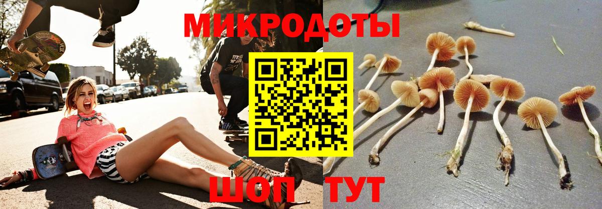 Псилоцибиновые грибы Magic Shrooms  Вход с VPN  Галлюциногенные грибы Cubensis  Великий Новгород 